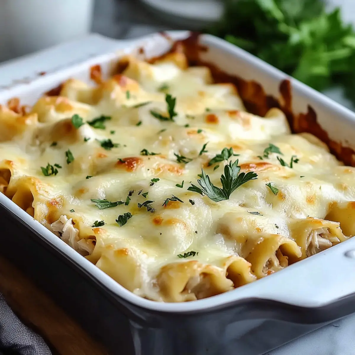 Chicken Alfredo Lasagna Rolls